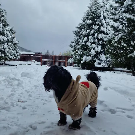 Vakantiehuis Bunloc House