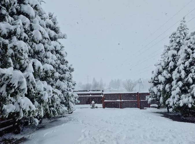 Holiday home Bunloc House Brasov